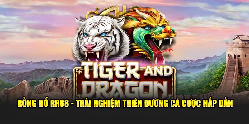 Rồng Hổ RR88 - Trải Nghiệm Thiên Đường Cá Cược Hấp Dẫn 